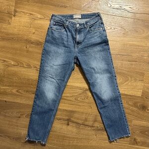 Everlane Curvy Cheeky Jean 29 Regular